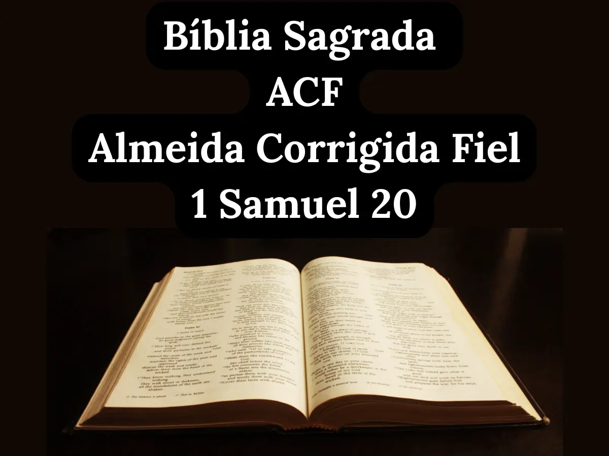 Aliança de Davi e Jônatas