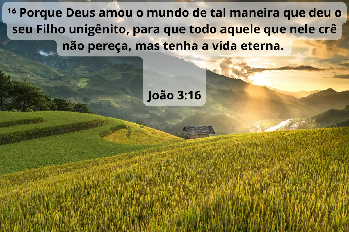 imagem com versiculo de joão 3: 16