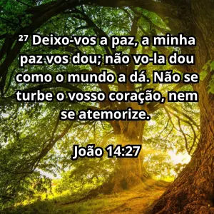imagem com versículo de joão-14-27