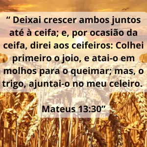 O Trigo e o Joio