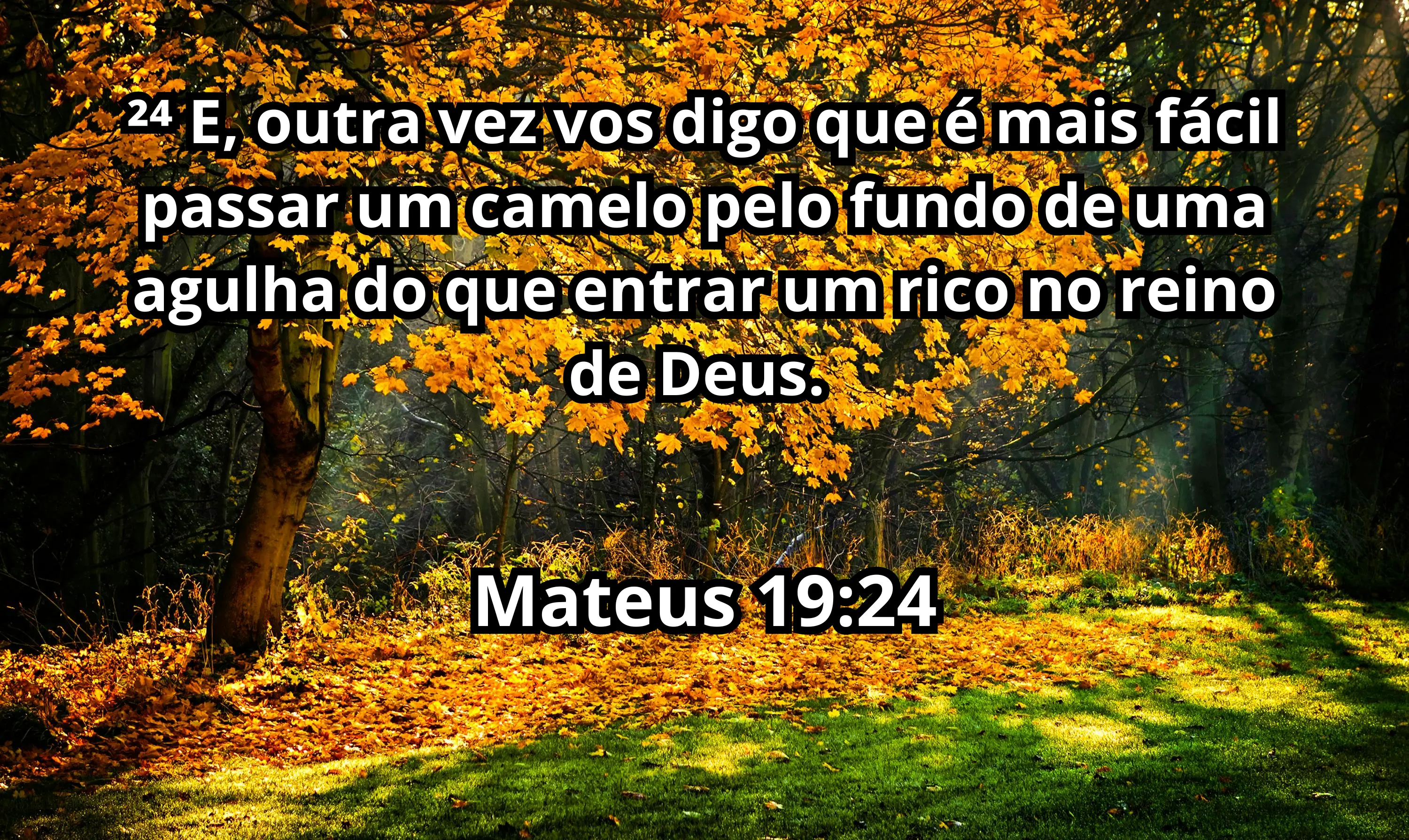 Imagem da natureza com o versículo de mateus19-24