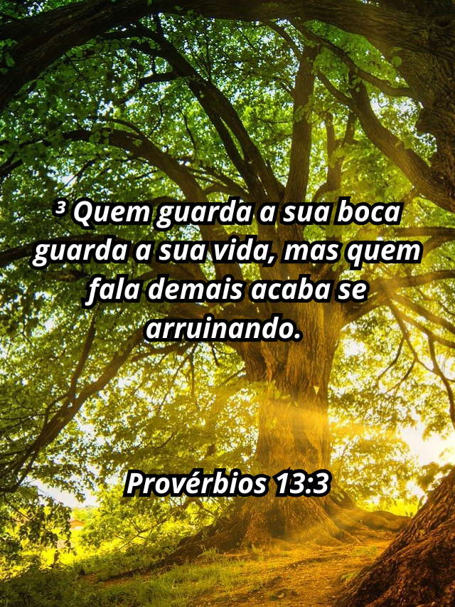 A luz da palavra: um devocional para cada dia